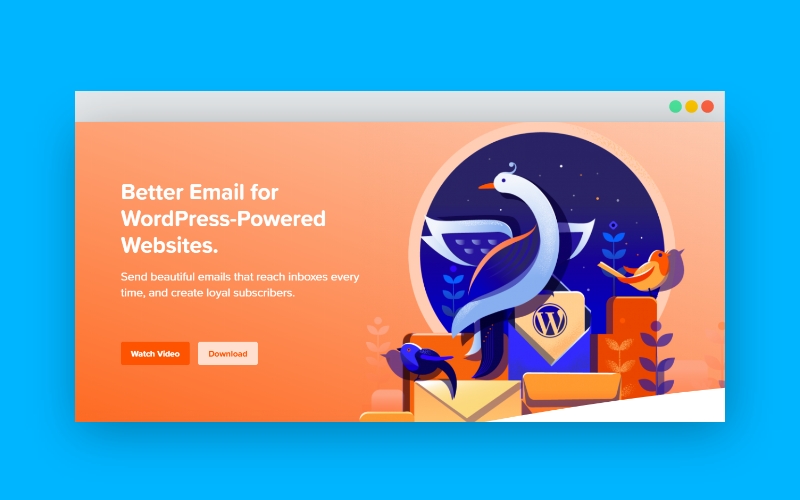 Best WordPress Email Plugins