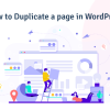 How to Duplicate a Page in WordPress