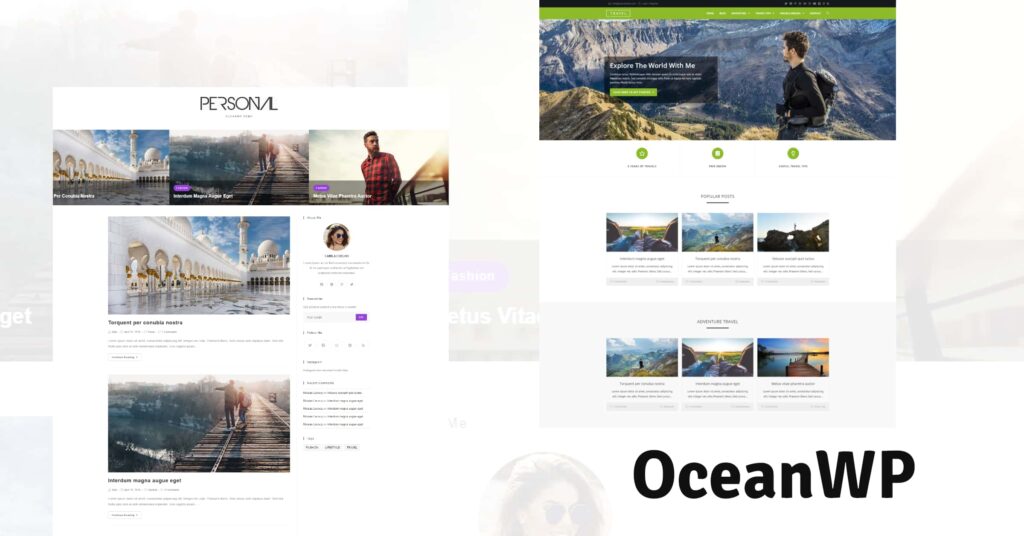 OchenWP for Best WordPress Themes for Travel Blogs