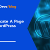 How to Duplicate A Page in WordPress