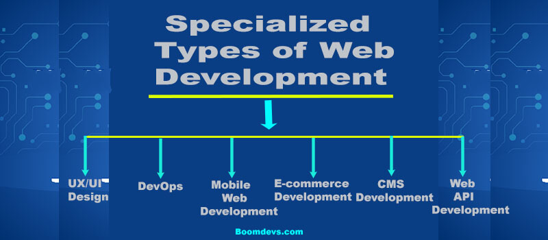 Specialized Types of Web Development