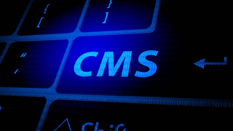 What is CMS in Web Development