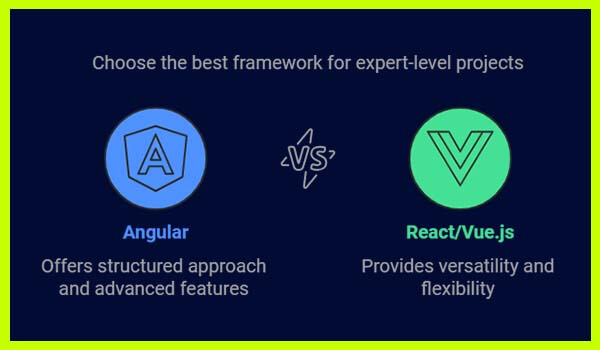 Which Framework is Preferable for Professional Experts